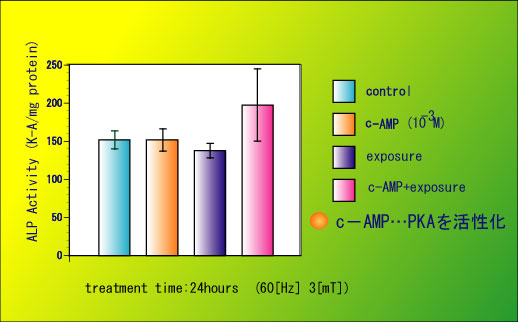[fig.6 ALP茋(c-AMP)]