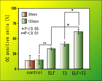 [fig.4 IXeIJVƉuF]