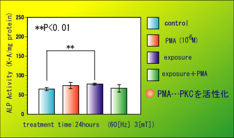 [fig.5 ALP茋(PMA)]